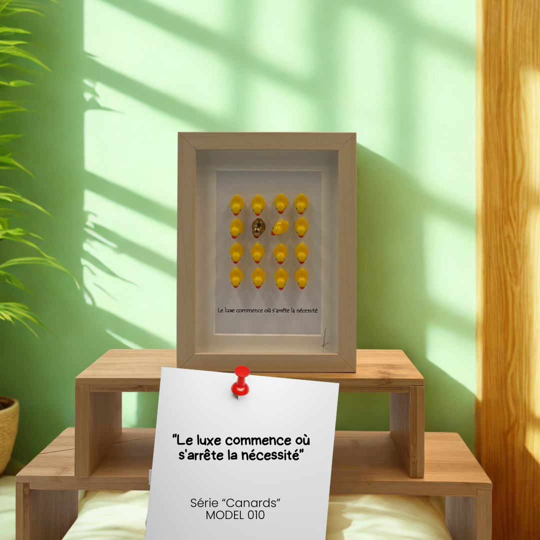 CANARDS MODEL 010 "Le luxe commence où s'arrête la nécessité"
Model 010 – Image 1