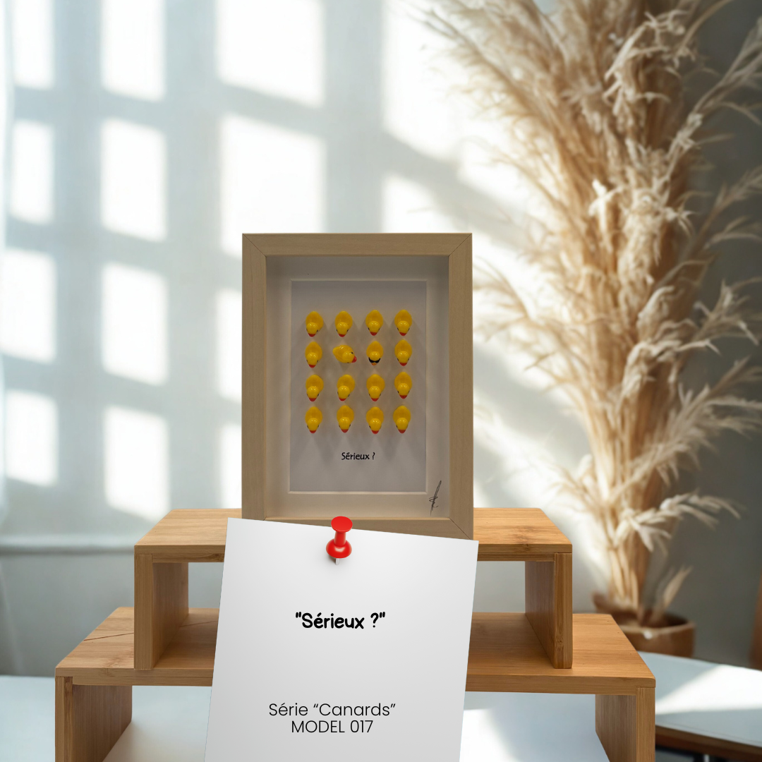 CANARDS MODEL 017 "Sérieux ?"
Model 017 – Image 1