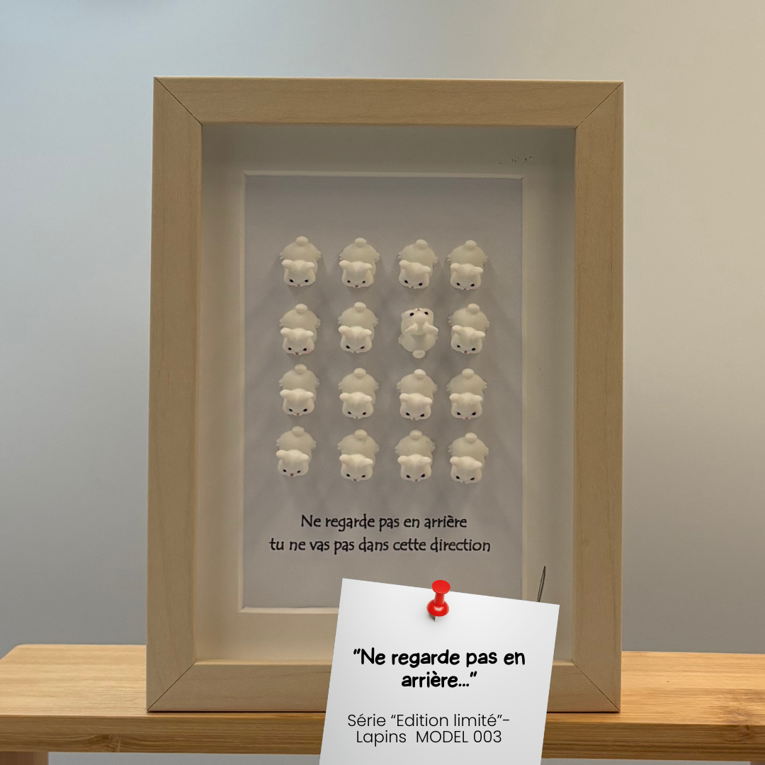 Série _Edition Limité_ Collection Lapins Model 003 Série "Edition Limitée" Collection Lapins Model 003 – Image 1